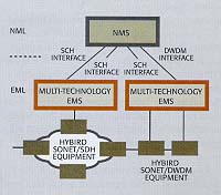 DIAGRAM: Managing hybrid network elements with multiple-technology interfaces